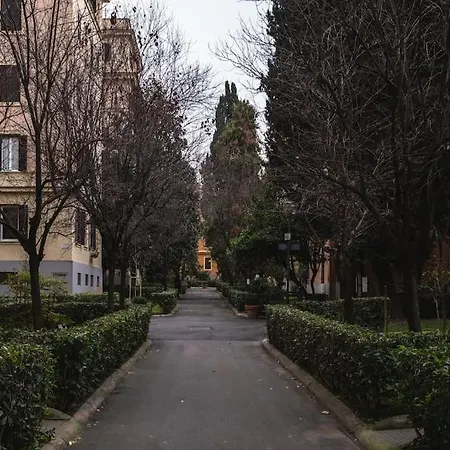 New Near Piazza Del Popolo *